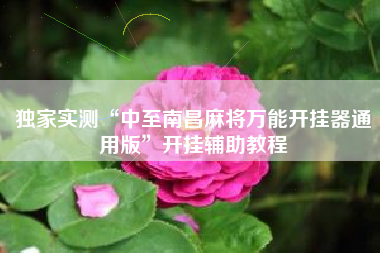 独家实测“中至南昌麻将万能开挂器通用版”开挂辅助教程 独家实测“中至南昌麻将万能开挂器通用版”开挂辅助教程