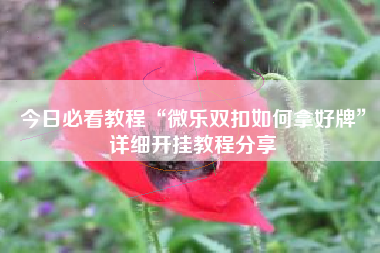 今日必看教程“微乐双扣如何拿好牌”详细开挂教程分享 今日必看教程“微乐双扣如何拿好牌”详细开挂教程分享