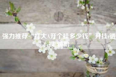 强力推荐“打大A开个挂多少钱”开挂(透视)辅助