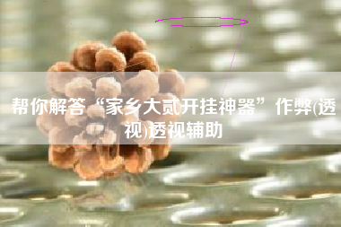 帮你解答“家乡大贰开挂神器”作弊(透视)透视辅助