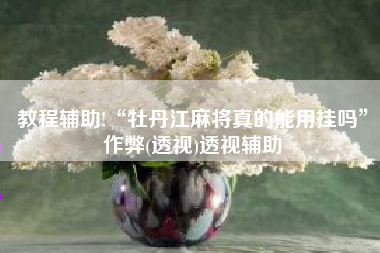 教程辅助!“牡丹江麻将真的能用挂吗”作弊(透视)透视辅助