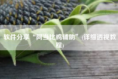 软件分享“阿当比鸡辅助”(详细透视教程)