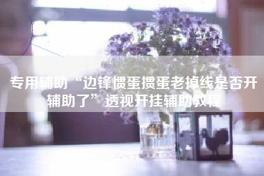 专用辅助“边锋惯蛋掼蛋老掉线是否开辅助了”透视开挂辅助教程