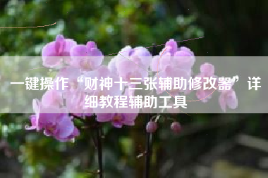 一键操作“财神十三张辅助修改器”详细教程辅助工具