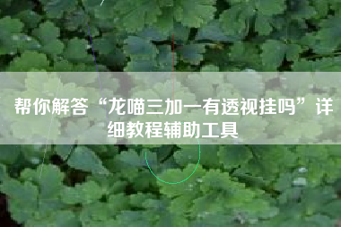 帮你解答“龙喵三加一有透视挂吗”详细教程辅助工具 帮你解答“龙喵三加一有透视挂吗”详细教程辅助工具