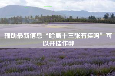 辅助最新信息“哈局十三张有挂吗”可以开挂作弊