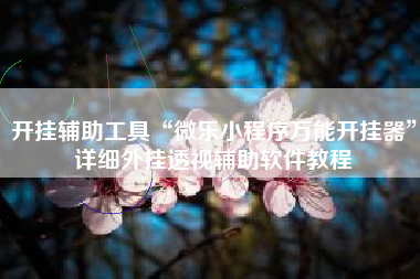 开挂辅助工具“微乐小程序万能开挂器”详细外挂透视辅助软件教程