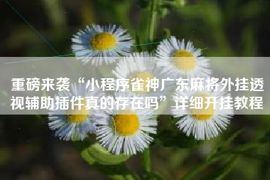 重磅来袭“小程序雀神广东麻将外挂透视辅助插件真的存在吗”详细开挂教程