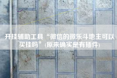 开挂辅助工具“微信的微乐斗地主可以买挂吗”(原来确实是有插件)