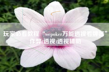 玩家必看教程“wepoker万能透视看牌器”作弊(透视)透视辅助 玩家必看教程“wepoker万能透视看牌器”作弊(透视)透视辅助