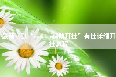 最新一款“wepoker辅助开挂”有挂详细开挂教程 最新一款“wepoker辅助开挂”有挂详细开挂教程