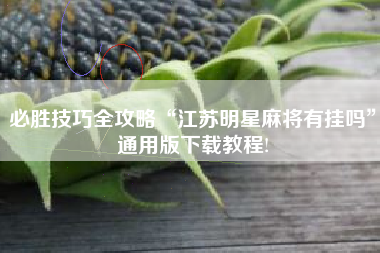 必胜技巧全攻略“江苏明星麻将有挂吗”通用版下载教程!