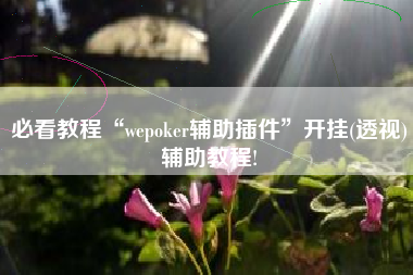 必看教程“wepoker辅助插件”开挂(透视)辅助教程! 必看教程“wepoker辅助插件”开挂(透视)辅助教程!
