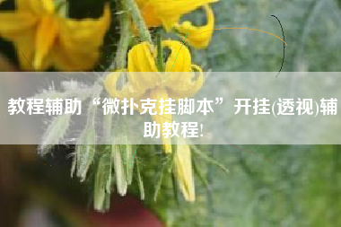 教程辅助“微扑克挂脚本”开挂(透视)辅助教程! 教程辅助“微扑克挂脚本”开挂(透视)辅助教程!