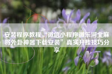安装程序教程“微信小程序微乐河北麻将外卦神器下载安装”真实开挂技巧分享