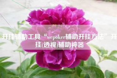 开挂辅助工具“wepoker辅助开挂方法”开挂(透视)辅助神器 开挂辅助工具“wepoker辅助开挂方法”开挂(透视)辅助神器