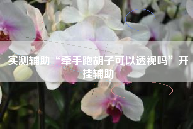 实测辅助“牵手跑胡子可以透视吗”开挂辅助