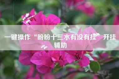 一键操作“盼盼十三水有没有挂”开挂辅助 一键操作“盼盼十三水有没有挂”开挂辅助