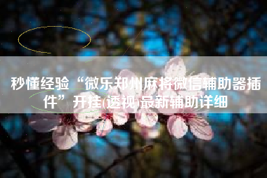 秒懂经验“微乐郑州麻将微信辅助器插件”开挂(透视)最新辅助详细 秒懂经验“微乐郑州麻将微信辅助器插件”开挂(透视)最新辅助详细