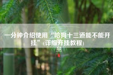 一分钟介绍使用“哈狗十三道能不能开挂”(详细开挂教程)