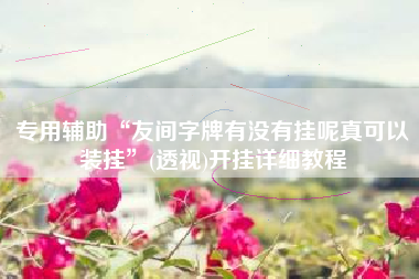 专用辅助“友间字牌有没有挂呢真可以装挂”(透视)开挂详细教程