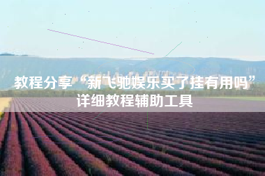 教程分享“新飞驰娱乐买了挂有用吗”详细教程辅助工具 教程分享“新飞驰娱乐买了挂有用吗”详细教程辅助工具