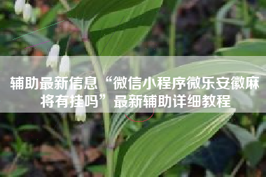 辅助最新信息“微信小程序微乐安徽麻将有挂吗”最新辅助详细教程