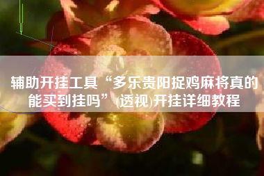 辅助开挂工具“多乐贵阳捉鸡麻将真的能买到挂吗”(透视)开挂详细教程 辅助开挂工具“多乐贵阳捉鸡麻将真的能买到挂吗”(透视)开挂详细教程