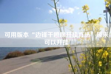 可用版本“边锋干瞪眼开挂方法”原来可以开挂