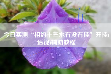 今日实测“相约十三水有没有挂”开挂(透视)辅助教程 今日实测“相约十三水有没有挂”开挂(透视)辅助教程
