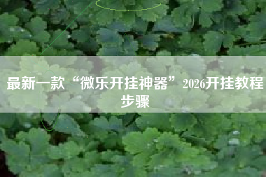 最新一款“微乐开挂神器”2026开挂教程步骤 最新一款“微乐开挂神器”2026开挂教程步骤
