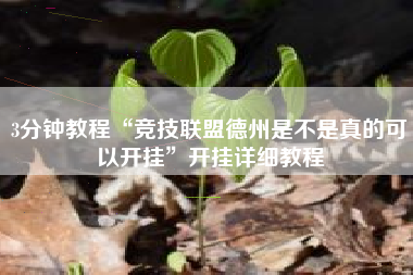 3分钟教程“竞技联盟德州是不是真的可以开挂”开挂详细教程 3分钟教程“竞技联盟德州是不是真的可以开挂”开挂详细教程