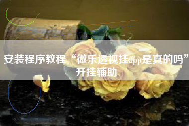 安装程序教程“微乐透视挂app是真的吗”开挂辅助 安装程序教程“微乐透视挂app是真的吗”开挂辅助