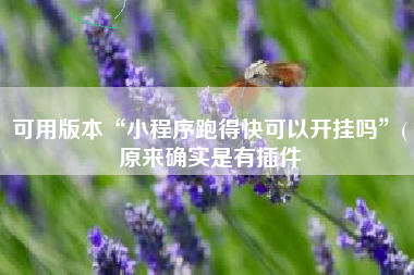 可用版本“小程序跑得快可以开挂吗”(原来确实是有插件 可用版本“小程序跑得快可以开挂吗”(原来确实是有插件