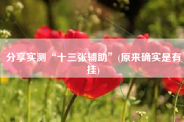 分享实测“十三张辅助”(原来确实是有挂)
