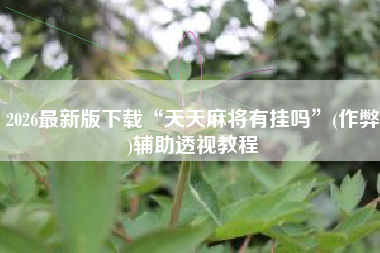 2026最新版下载“天天麻将有挂吗”(作弊)辅助透视教程 2026最新版下载“天天麻将有挂吗”(作弊)辅助透视教程