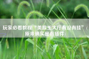 玩家必看教程“美猴王大厅有没有挂”(原来确实是有插件)