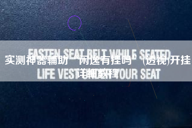 实测神器辅助“闲逸有挂吗”(透视)开挂详细教程