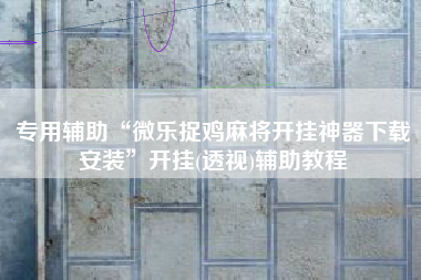 专用辅助“微乐捉鸡麻将开挂神器下载安装”开挂(透视)辅助教程 专用辅助“微乐捉鸡麻将开挂神器下载安装”开挂(透视)辅助教程