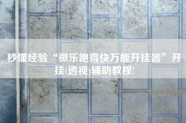 秒懂经验“微乐跑得快万能开挂器”开挂(透视)辅助教程!