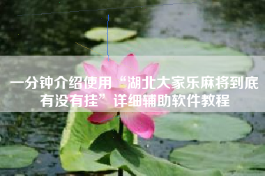 一分钟介绍使用“湖北大家乐麻将到底有没有挂”详细辅助软件教程