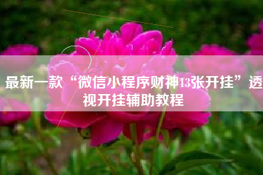 最新一款“微信小程序财神13张开挂”透视开挂辅助教程 最新一款“微信小程序财神13张开挂”透视开挂辅助教程