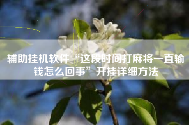 辅助挂机软件“这段时间打麻将一直输钱怎么回事”开挂详细方法 辅助挂机软件“这段时间打麻将一直输钱怎么回事”开挂详细方法