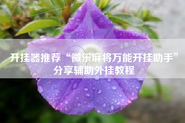 开挂器推荐“微乐麻将万能开挂助手”分享辅助外挂教程