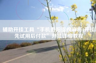 辅助开挂工具“手机贵阳捉鸡麻将1开挂先试用后付款”开挂详细教程