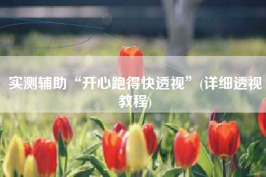 实测辅助“开心跑得快透视”(详细透视教程)