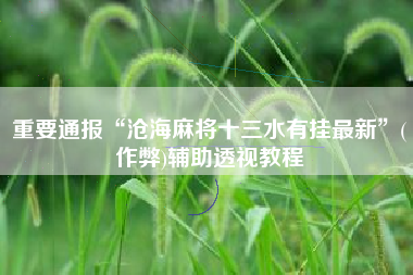 重要通报“沧海麻将十三水有挂最新”(作弊)辅助透视教程