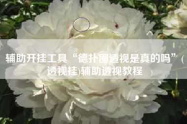 辅助开挂工具“德扑圈透视是真的吗”(透视挂)辅助透视教程