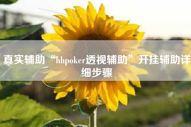 真实辅助“hhpoker透视辅助”开挂辅助详细步骤