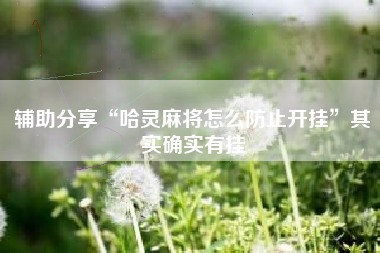 辅助分享“哈灵麻将怎么防止开挂”其实确实有挂